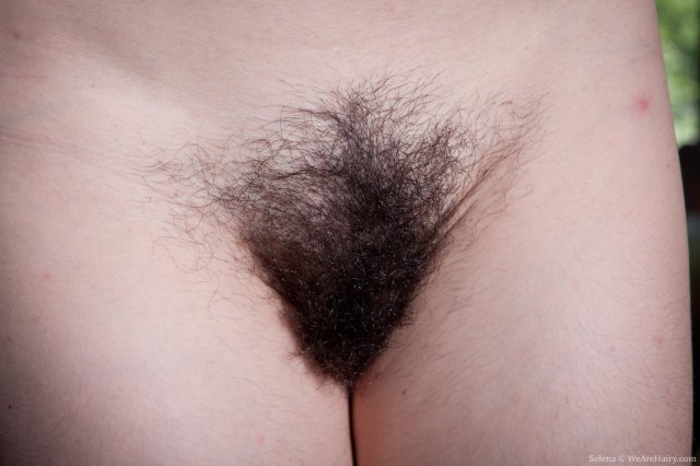 ������� � ����� ������ � ��������� ������ �������� �� �������