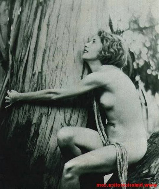 ��������� ����� ���������� �������� �������� �� ������������ ����