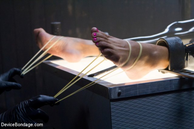 ����: ����� ����� � ��������� ������ ������ ����