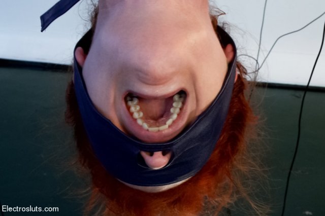 ����������� �������������� � ����� �����